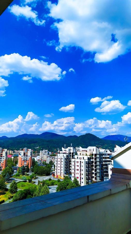 Hotel Mara Baia Mare Bagian luar foto